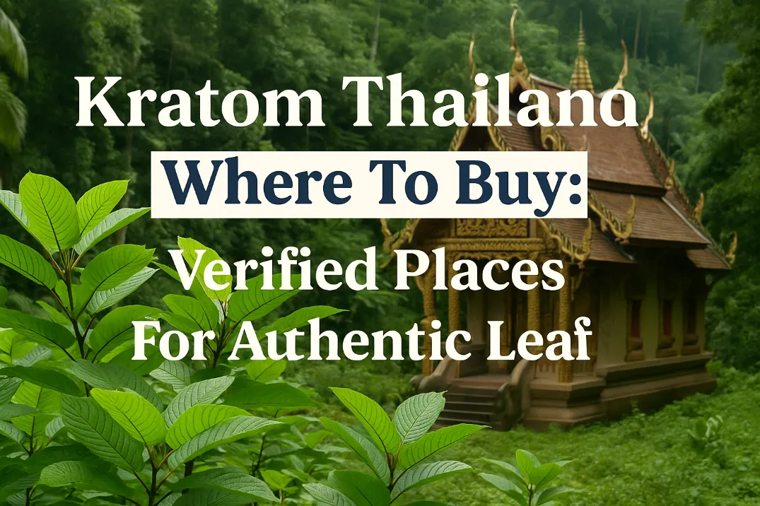 Kratom Thailand Where To Buy: Verified Places For Authentic Leaf