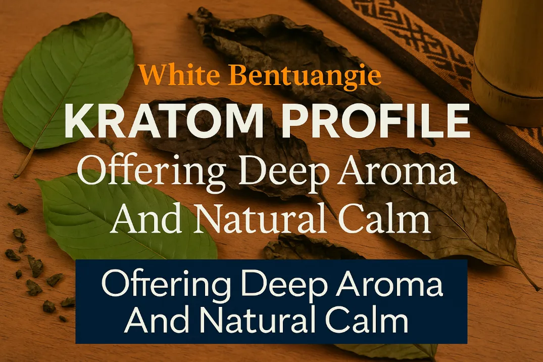 White Bentuangie Kratom