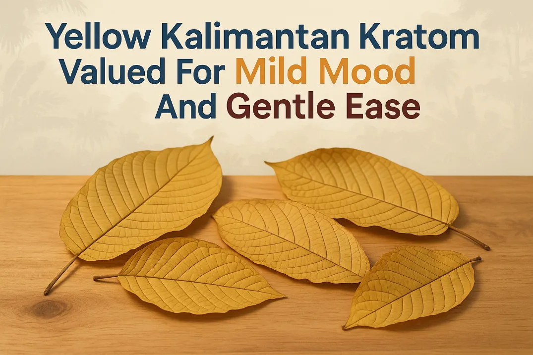 Yellow Kalimantan Kratom