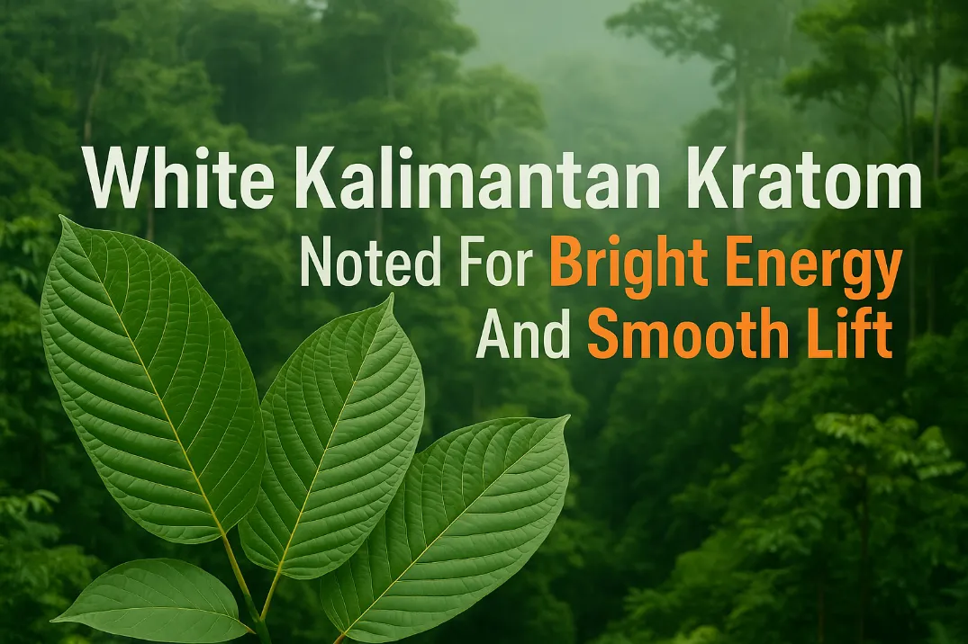 white kalimantan kratom