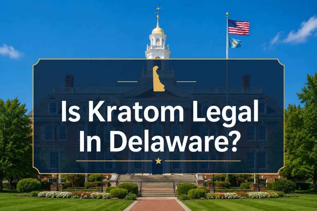 Is Kratom Legal In Delaware? State Laws, Regulations And Updates