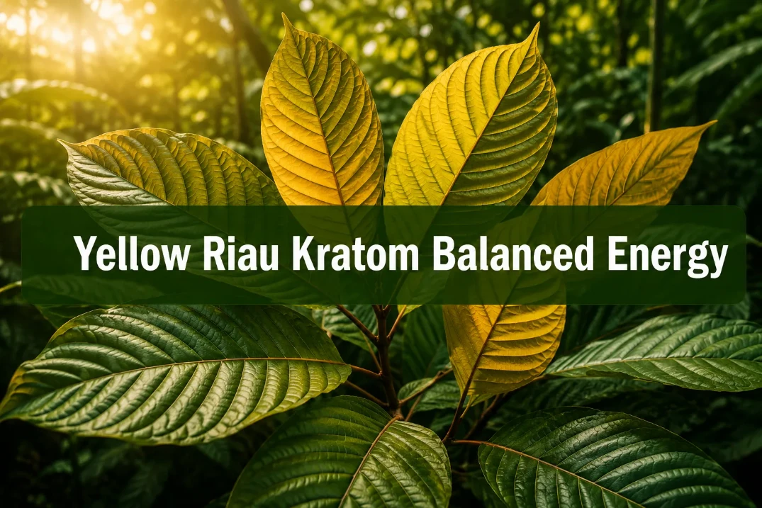 Yellow Riau Kratom Balanced Energy, Herbal Aroma And Smooth Effects