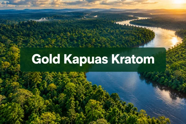 Gold Kapuas Kratom: Alkaloid Profile, Effects, and Dosage Guide