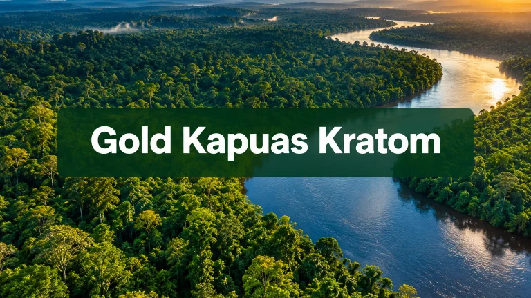 Gold Kapuas Kratom: Alkaloid Profile, Effects, and Dosage Guide