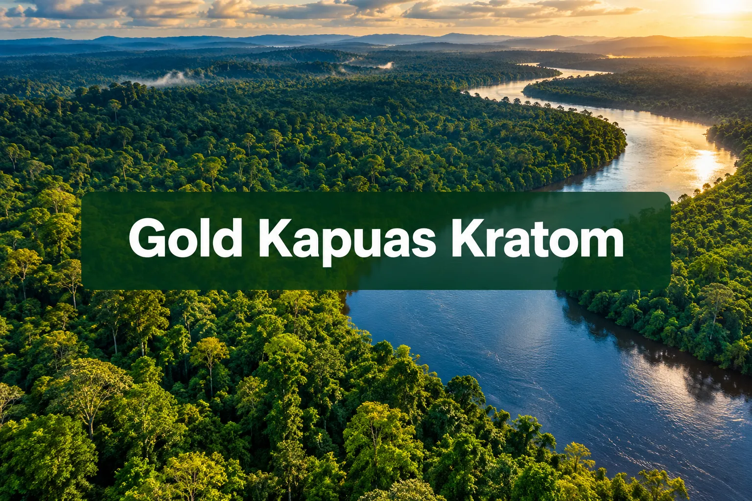 gold kapuas kratom