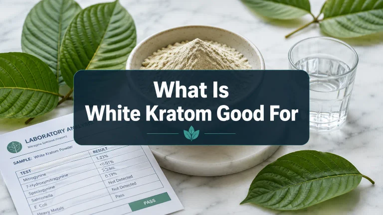What Is White Kratom Good For: Energy, Focus, and Verified User Data