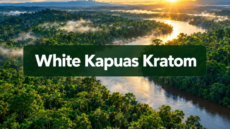 White Kapuas Kratom: Effects, Dosage, and Lab-Verified User Data