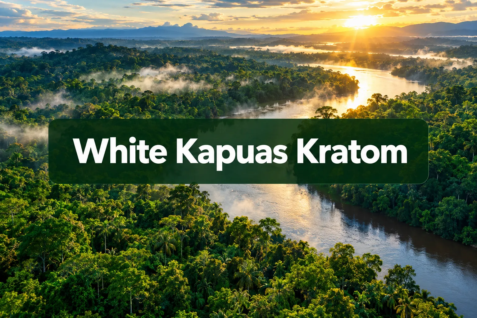 white kapuas kratom